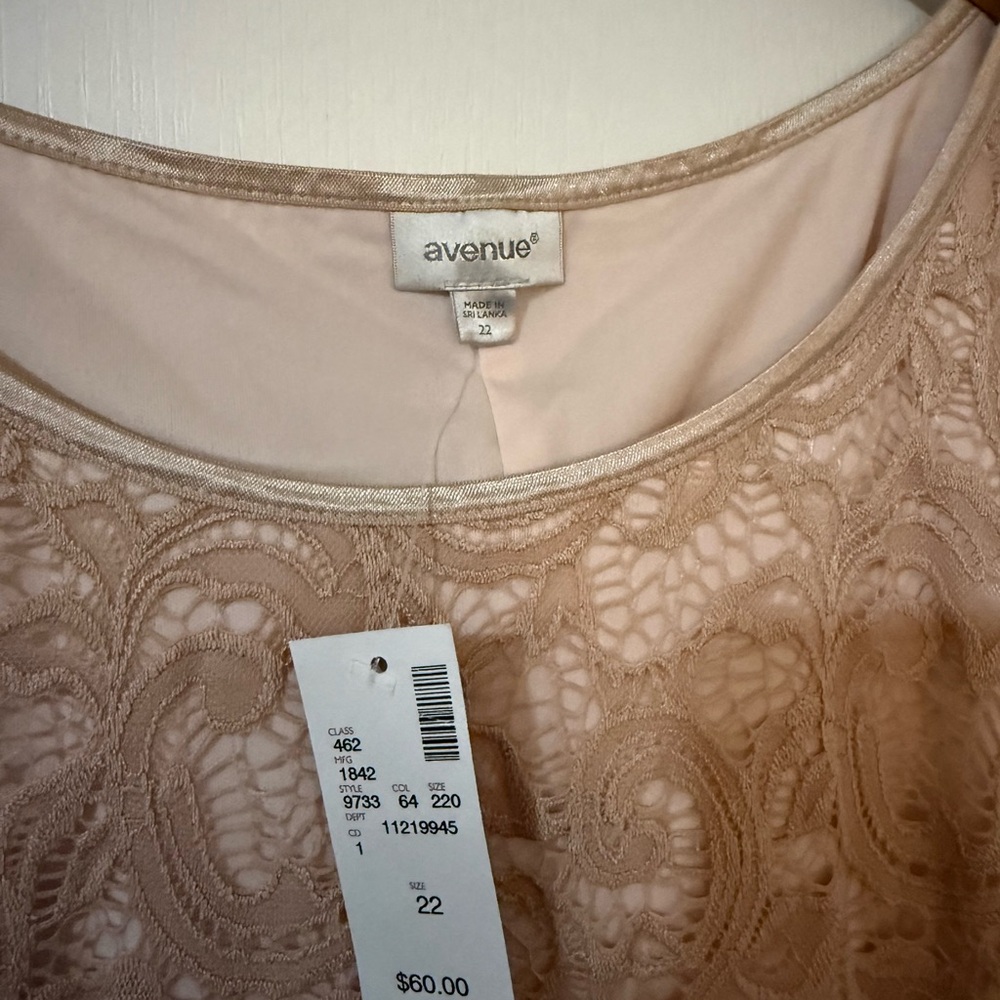 NWT Avenue cream Lace Sleeveless Dress size 22 - Picture 2 of 2